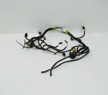Tesla Model S Other wiring loom 100455701J