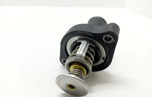 Thermostat/thermostat housing