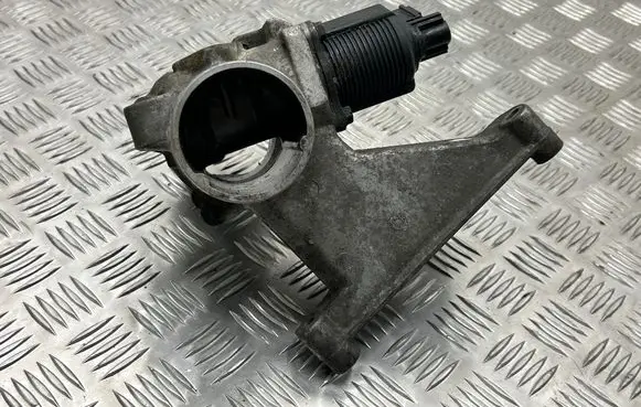EGR valve