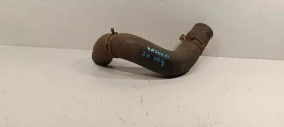 Nissan Qashqai+2 Engine coolant pipe/hose
