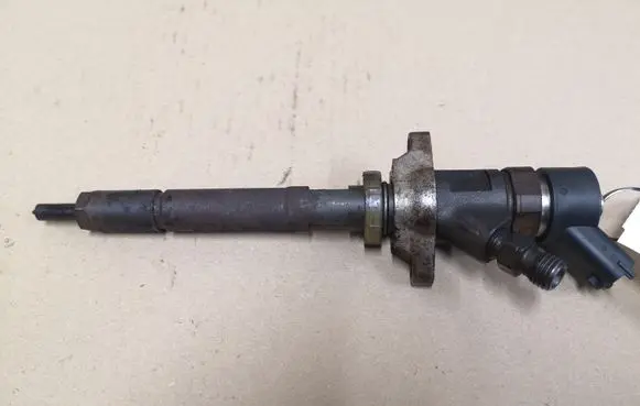 Citroen C4 I Fuel injector 0445110259