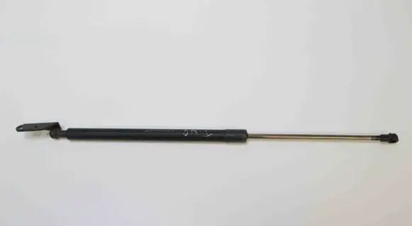 Tailgate/trunk strut/damper
