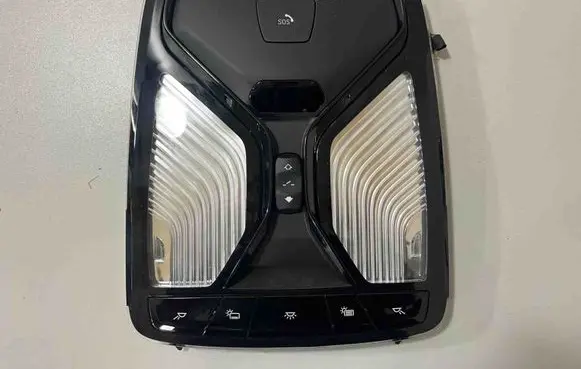 BMW X7 G07 Front seat light 5A8A110 5A7C4B8