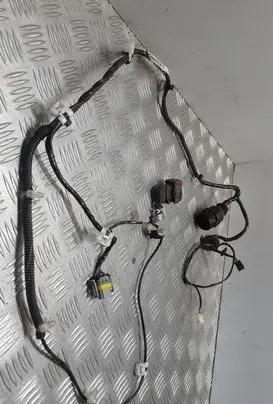 Front door wiring loom