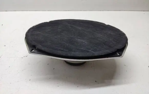 Chrysler Grand Voyager V Front door speaker 05091019AB 45301S EASA23D22A4