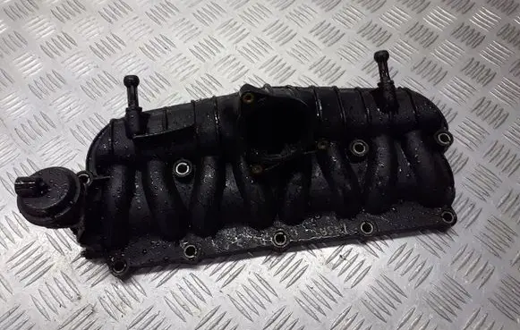 Volkswagen PASSAT B5.5 Intake manifold