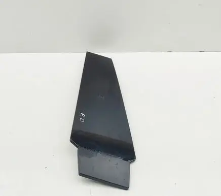 Polestar 2 (B) pillar trim (top) 80008123 8893685673