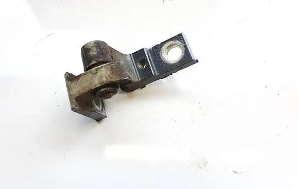 Seat Exeo (3R) Rear door lower hinge