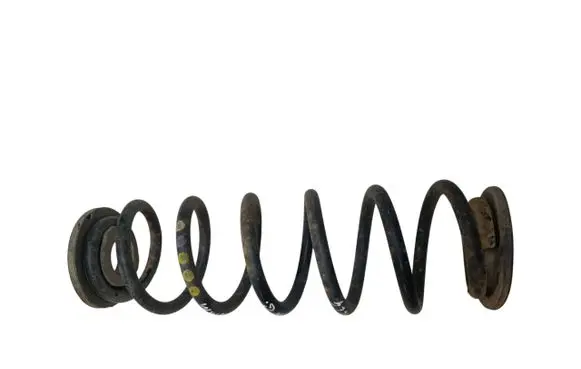 Rear coil spring