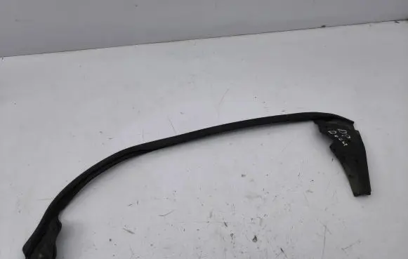 Tesla Model S Rubber seal front door window/glass 