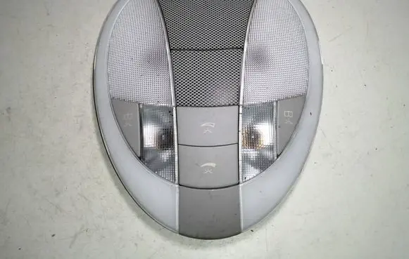 Mercedes-Benz CLS C219 Rear seat light A2198201101
