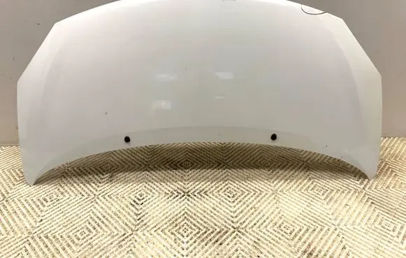 Engine bonnet/hood