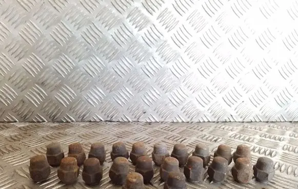 Nuts/bolts