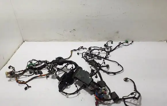 Other wiring loom