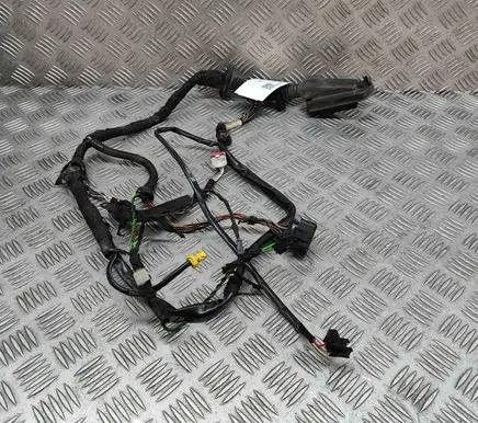 Porsche 911 996 Front door wiring loom 99970225940
