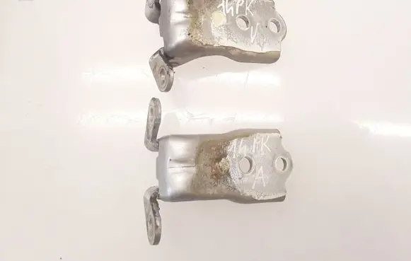 Chevrolet Captiva Front door hinge set 07E10