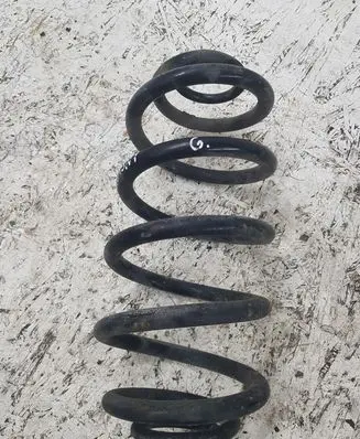 Opel Insignia A Rear coil spring