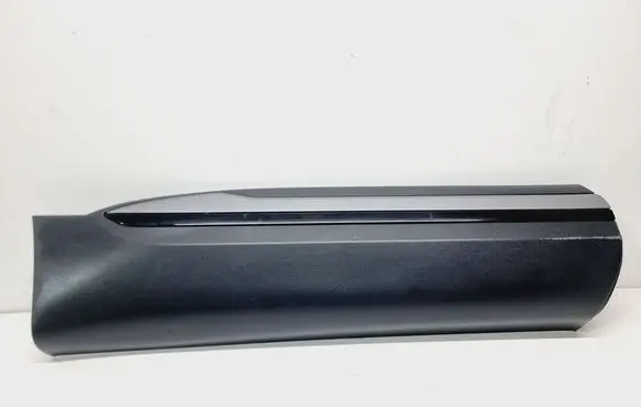 Rear door trim (molding)