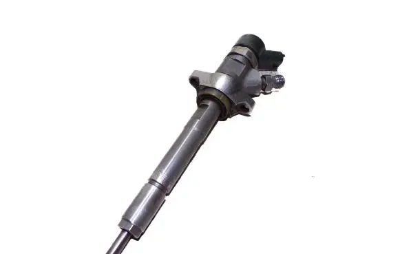 Citroen C4 I Fuel injector 0445110259 328480
