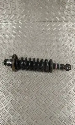 Mitsubishi Outlander Rear shock absorber with coil spring 4162A459