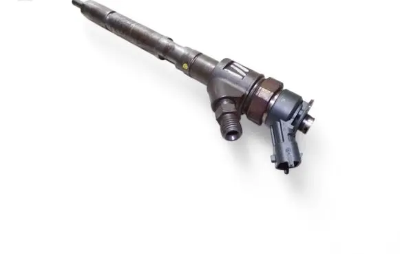 Citroen C5 Fuel injector 0445110311