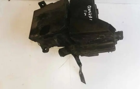 Nissan Qashqai Fuse box set 319136024