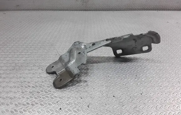 Renault Laguna II Engine bonnet/hood hinges 418249G