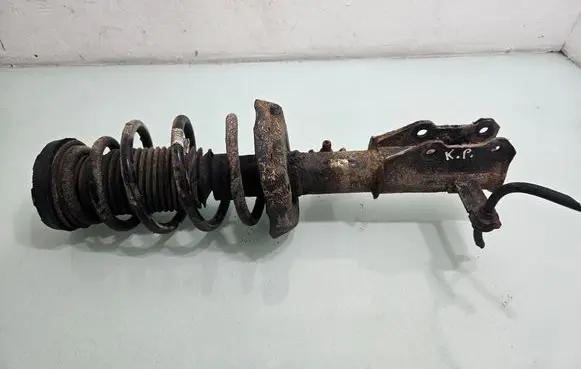 Opel Insignia A Front shock absorber with coil spring