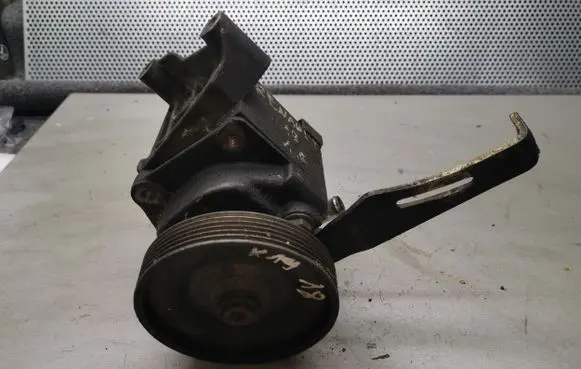 Renault 19 Power steering pump