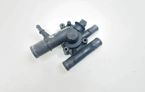 Thermostat/thermostat housing