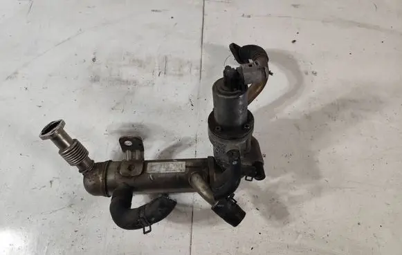 EGR valve