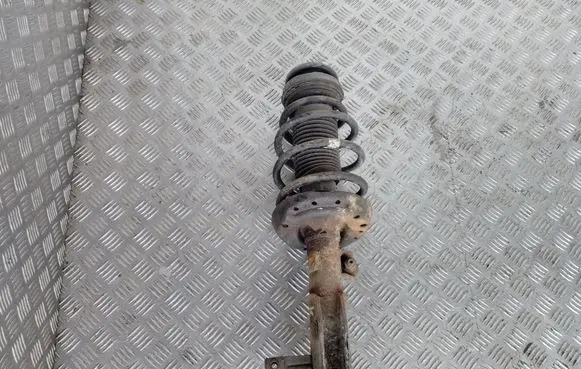Opel Insignia A Front shock absorber with coil spring