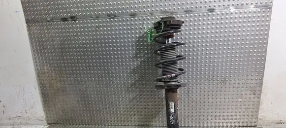 Volkswagen Golf V Front shock absorber/damper S14817184 1T0413031CM