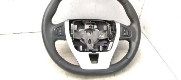Renault Laguna III Steering wheel 484300005R
