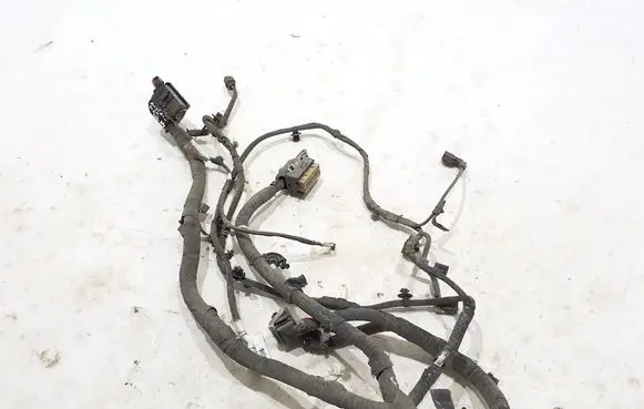 Other wiring loom