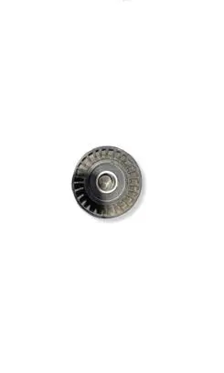 Dodge Charger Belt tensioner pulley 