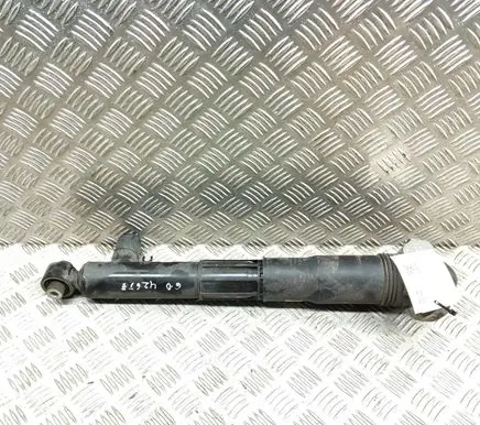Volkswagen ID.5 Rear shock absorber/damper 1EA512037Q