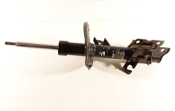 Nissan Qashqai Front shock absorber/damper 54303BR00B 824903007721 340010123E