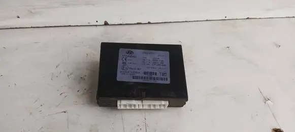Hyundai Getz Other control units/modules 954001J302 97RA010017