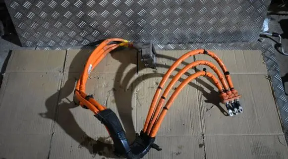 Porsche Panamera (971) Other wiring loom 97061130541