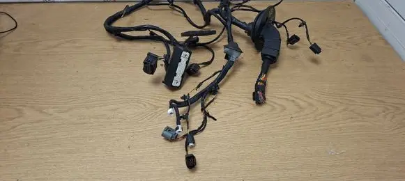 BMW X3 F25 Other wiring loom 6959376