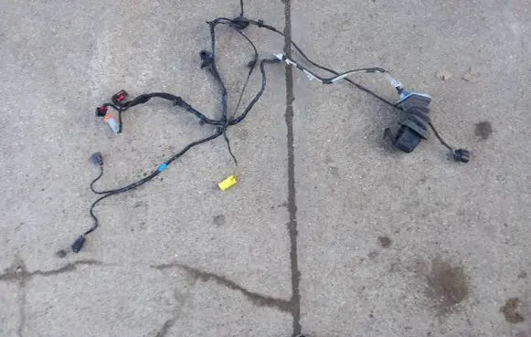 Front door wiring loom