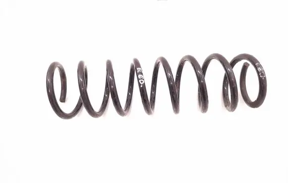 Rear coil spring