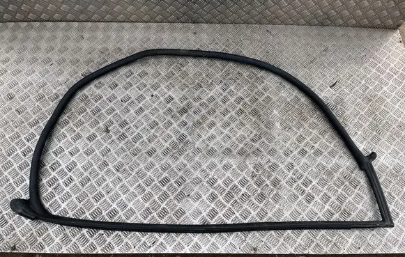 Audi TT TTS RS Mk3 8S Front door rubber seal 8S8831708