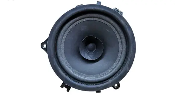 Rear door speaker