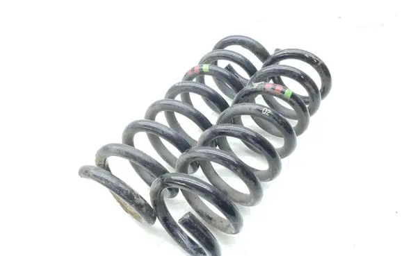 Rear coil spring