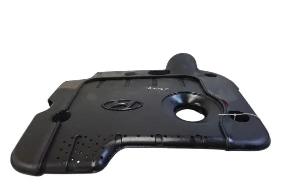 Hyundai Santa Fe Engine cover (trim)