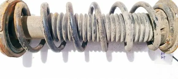 Rear coil spring