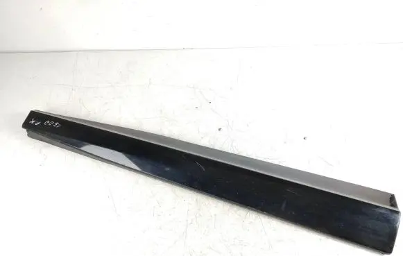 Front door trim (molding)