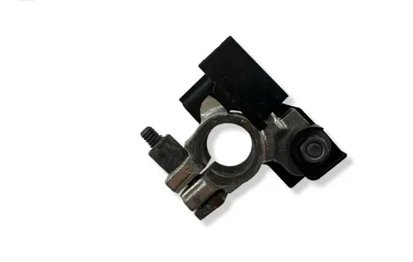 Renault Scenic III - Grand scenic III Negative earth cable (battery) 295C33401R 2609603C
